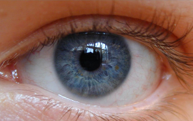 המקור לתנועות עיניים קטנות הוא בפעילות המוח, ולא בשרירי העין.