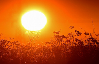 heatwave-1024x636.jpg
