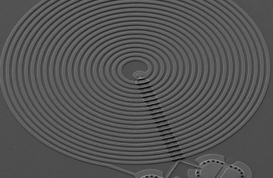 שזירה קוונטית: לעשות את זה בגדול