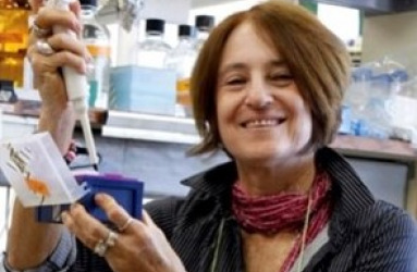 דור חדש של קודמנים (פרקורסורים) לתרופה לבודופא  עשוי לסייע בהאטת התמותה של נוירונים דופאמינרגיים במחלת הפרקינסון