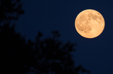 moon.jpg