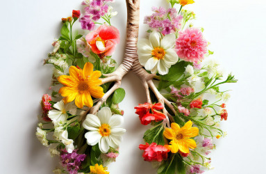 spring-flowers-small-representing-human-lungs-white-background-.jpeg