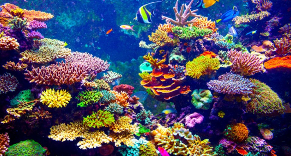 https://www.haaretz.co.il/blogs/roibetlevi/BLOG-1.10734225
