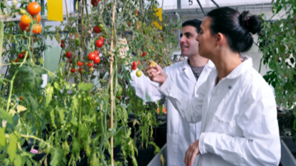 המכון למדעי החיים