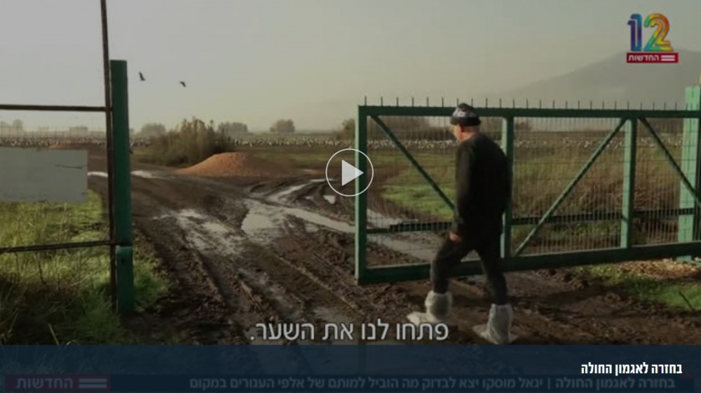 סרטון ערוץ קשת 12