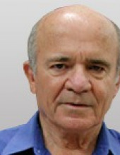 טריינין אבנר