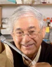 יואב