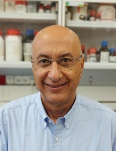 shlomo